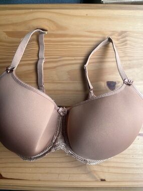 Panache Smooth Molded T-Shirt Bra in Blush 36GG
